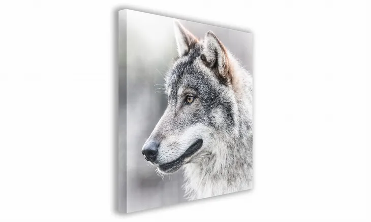 obraz-na-plotnie-028-glowa-wilka-40x40cm