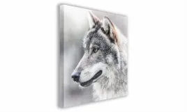 obraz-na-plotnie-028-glowa-wilka-40x40cm