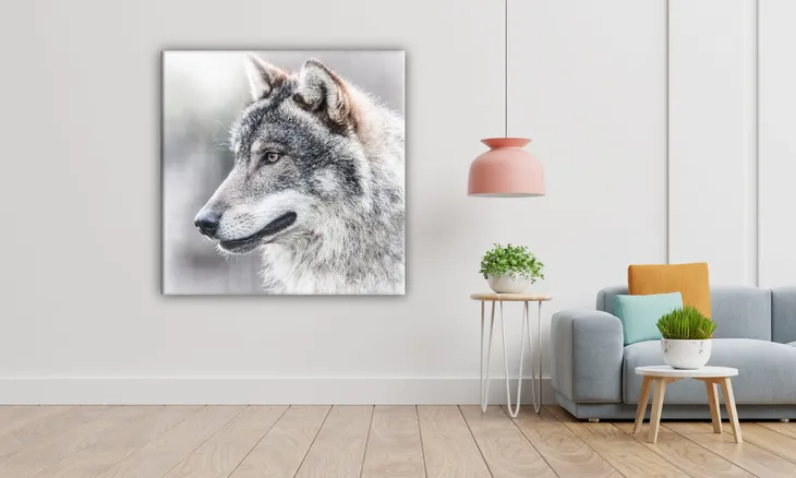 obraz-na-plotnie-028-glowa-wilka-40x40cm-szerokosc-cm-31-40