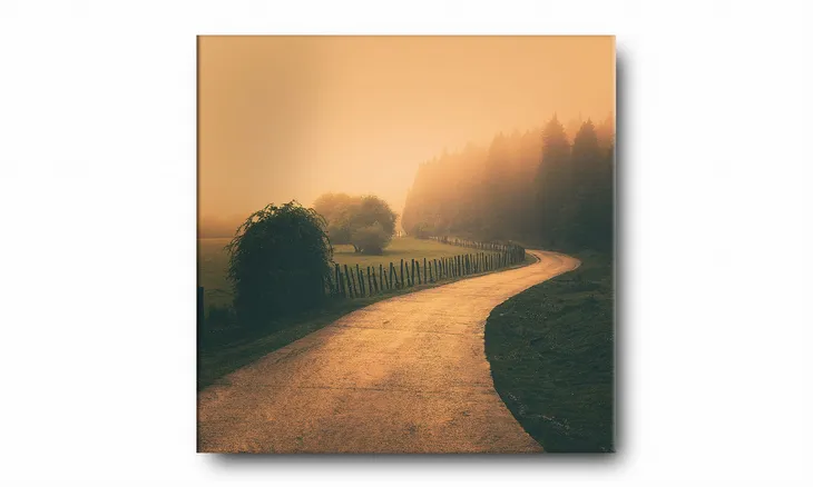 obraz-na-plotnie-020-drozka-30x30cm-stan-nowy