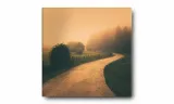 obraz-na-plotnie-020-drozka-30x30cm-stan-nowy