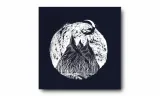 obraz-na-plotnie-029-gory-noca-30x30cm-stan-nowy