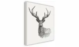 obraz-na-plotnie-035-jelen-30x30cm