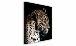 obraz-na-plotnie-051-lampart-30x30cm