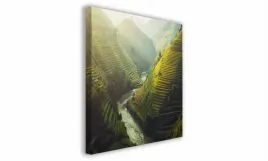 obraz-na-plotnie-104-uprawa-ryzu-30x30cm
