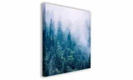 obraz-na-plotnie-053-las-we-mgle-60x60cm
