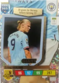 fifa-365-2023-panini-giant-haaland-437