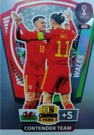 world-cup-qatar-2022-contender-team-491-walia