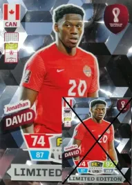 world-cup-qatar-2022-limited-david-xxl