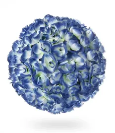 kwiatowa-kula-40cm-xxl-niebieska-uniw