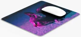 podkladka-pod-mysz-245x19-pdm-kotypsy10-gaming