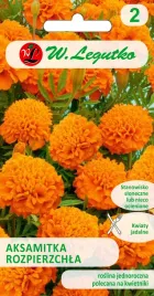 nasiona-aksamitka-rozpierzchla-pomaranczowa-1g