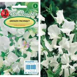 nasiona-groszek-pachnacy-bialy-3g