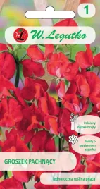 nasiona-groszek-pachnacy-czerwony-3g