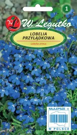 nasiona-lobelia-przyladkowa-stroiczka-niebieska