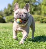 chuckit-eco-fetch-ball-small-2pak-37163-waga-150-g