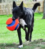 chuckit-kick-fetch-small-251101-kod-producenta-11031875631