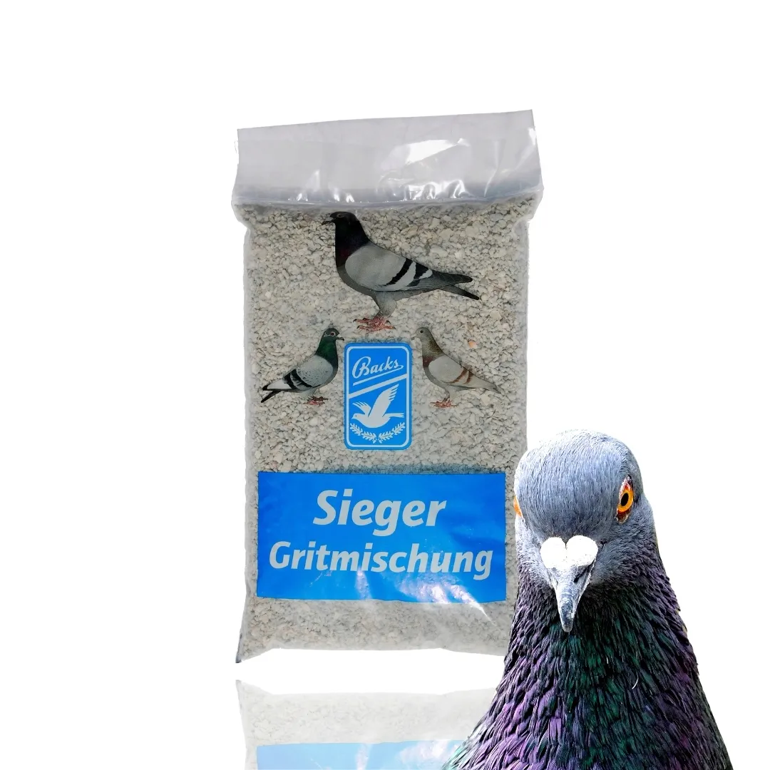 backs-siegergit-grit-z-algami-morskimi-25kg