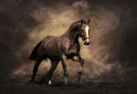 fototapeta-t4u-horse-02-152x104