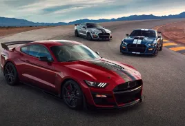 fototapeta-t4u-mustang-04-368x254