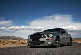 fototapeta-t4u-mustang-01-312x219