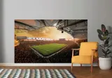 fototapeta-dmp-fifa-10-152x104-gama-kolorystyczna-wielokolorowe