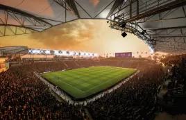 fototapeta-dmp-fifa-10-368x254