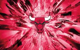 fototapeta-dmp-chicago-bulls-06-368x254