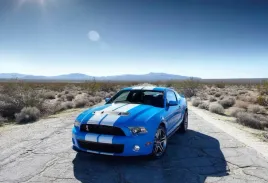 fototapeta-t4u-mustang-02-312x219