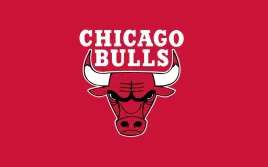 fototapeta-dmp-chicago-bulls-05-368x254