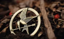 fototapeta-dmp-igrzyska-smierci-03-312x219
