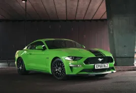 fototapeta-t4u-mustang-09-312x219