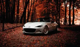 fototapeta-dmp-mazda-01-152x104