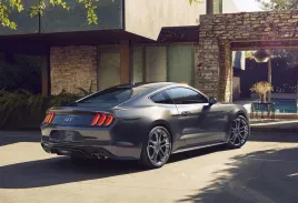 fototapeta-t4u-mustang-07-312x219