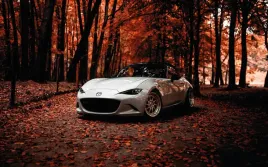 fototapeta-dmp-mazda-01-368x254