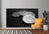 fototapeta-dmp-monety-05-152x104-gama-kolorystyczna-wielokolorowe