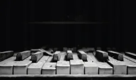 fototapeta-dmp-instrumenty-04-152x104