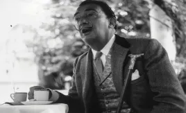 fototapeta-dmp-salvadore-dali-08-312x219