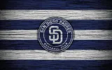 fototapeta-dmp-baseball-01-368x254