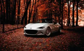fototapeta-dmp-mazda-01-254x184