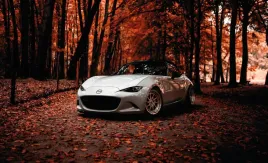 fototapeta-dmp-mazda-01-312x219