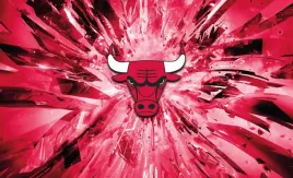 fototapeta-dmp-chicago-bulls-06-312x219