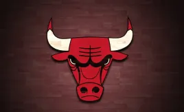 fototapeta-dmp-chicago-bulls-03-312x219