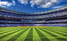 fototapeta-dmp-baseball-05-254x184