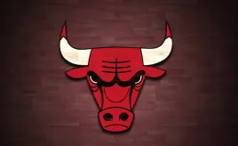 fototapeta-dmp-chicago-bulls-03-254x184