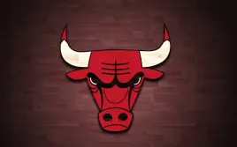 fototapeta-dmp-chicago-bulls-03-368x254