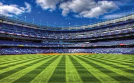 fototapeta-dmp-baseball-05-368x254