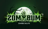 blitz-rums-ic18-100-1-100s-f2-4-1-marka-iskra