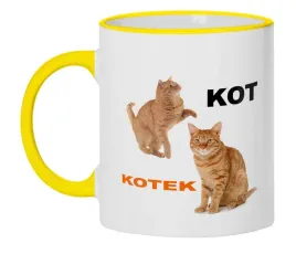 kubek-bialy-zolte-brzegi-wmp-kot-10