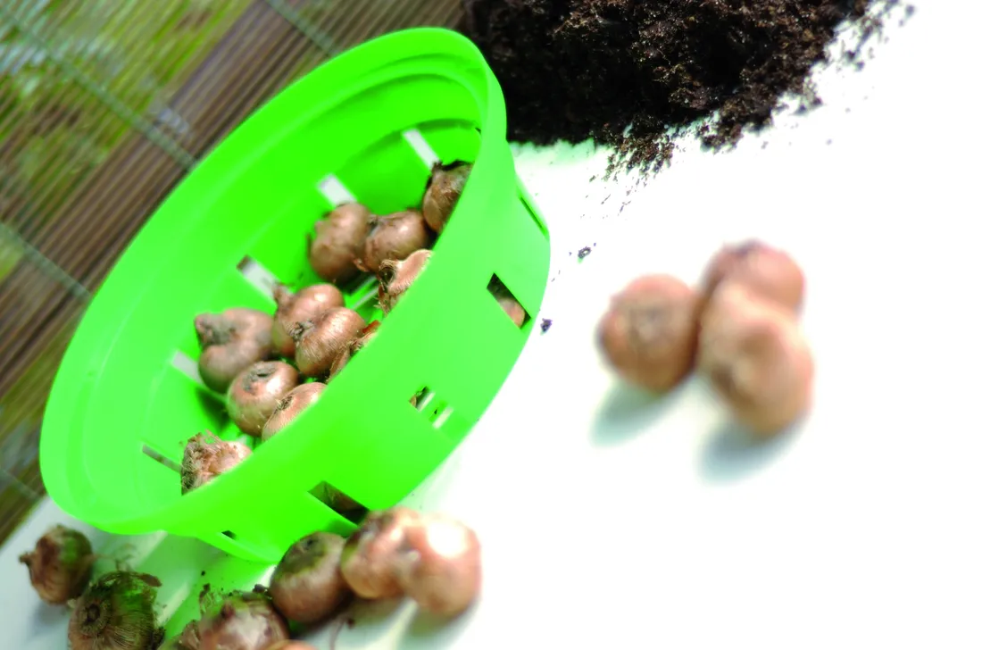 koszyk-na-cebulki-onion-20-cm